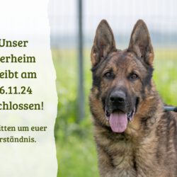 Tierheim am 16.11.24 geschlossen!