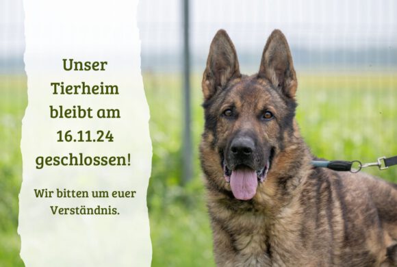 Tierheim am 16.11.24 geschlossen!