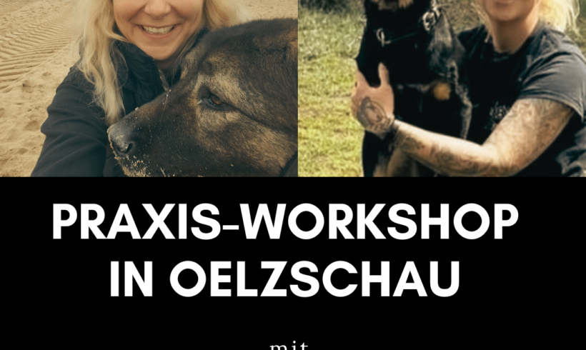 Praxis-Workshop im Tierheim Oelzschau Praxis-Workshop im Tierheim Oelzschau