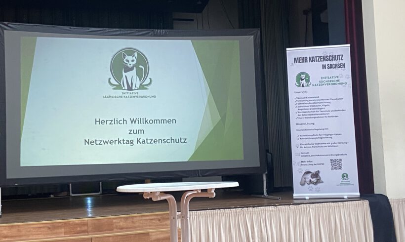 Netzwerktreffen zur Sächsischen Katzenverordnung Netzwerktreffen zur Sächsischen Katzenverordnung