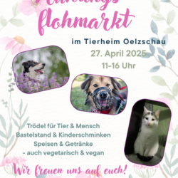 Frühlingsflohmarkt am 27. April 2025