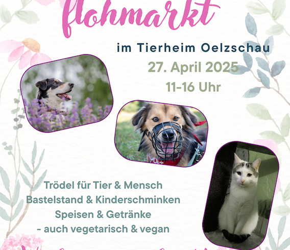 Frühlingsflohmarkt am 27. April 2025 Frühlingsflohmarkt am 27. April 2025