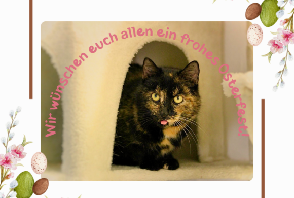 Frohe Ostern! Frohe Ostern!