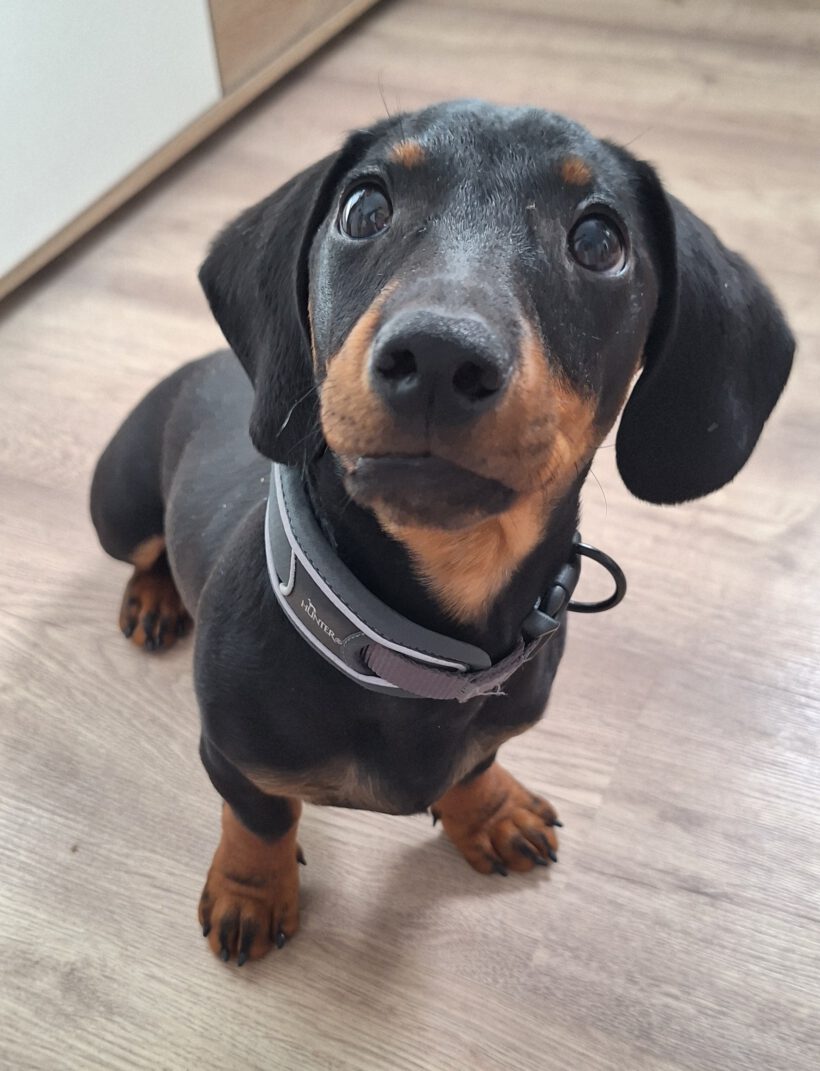 Oskar
