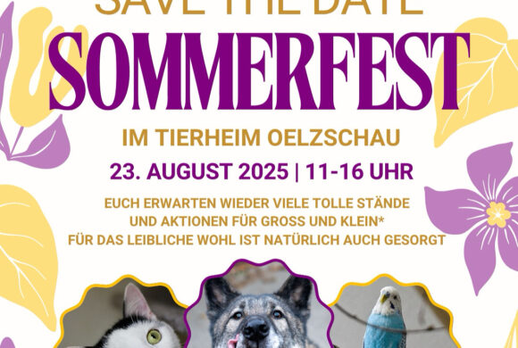 Sommerfest 2025