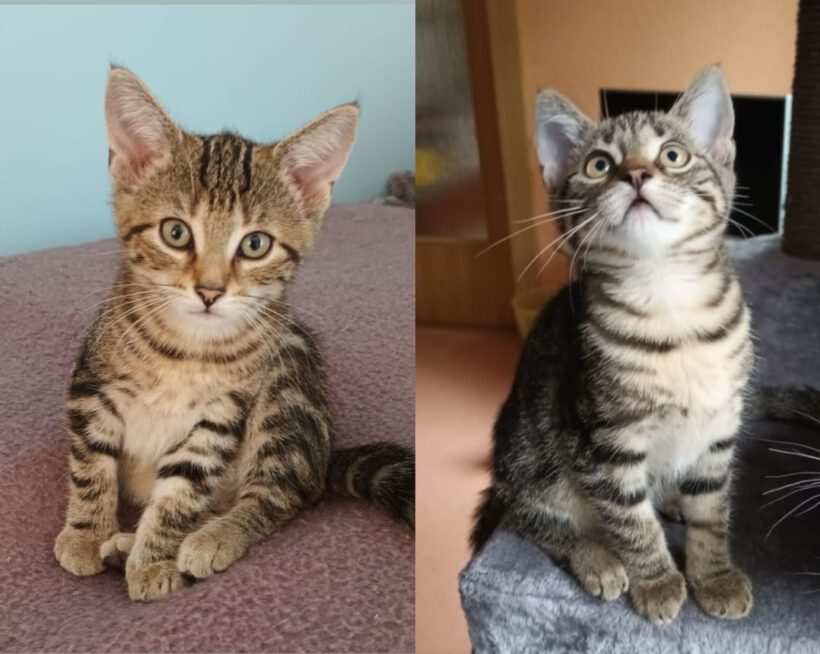 Maja & Melli