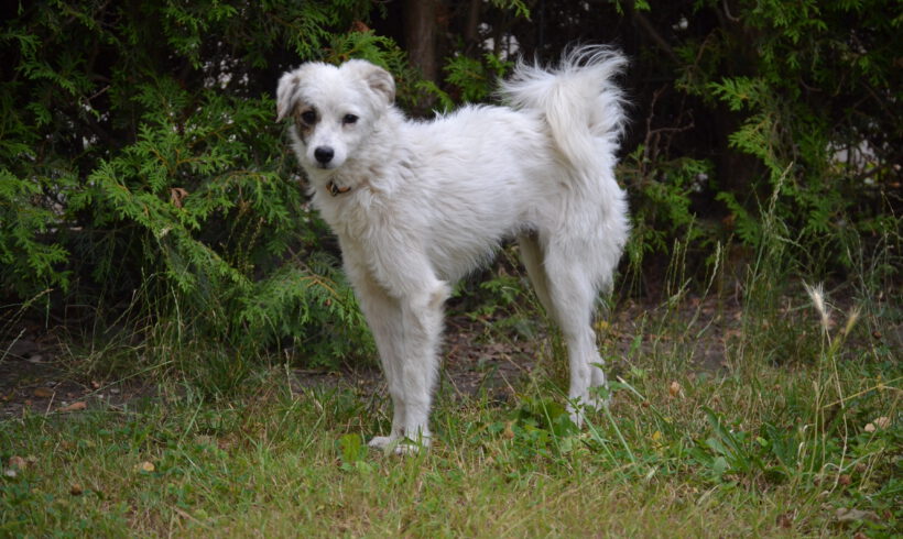 Hilde
