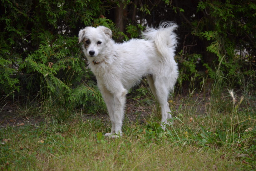 Hilde