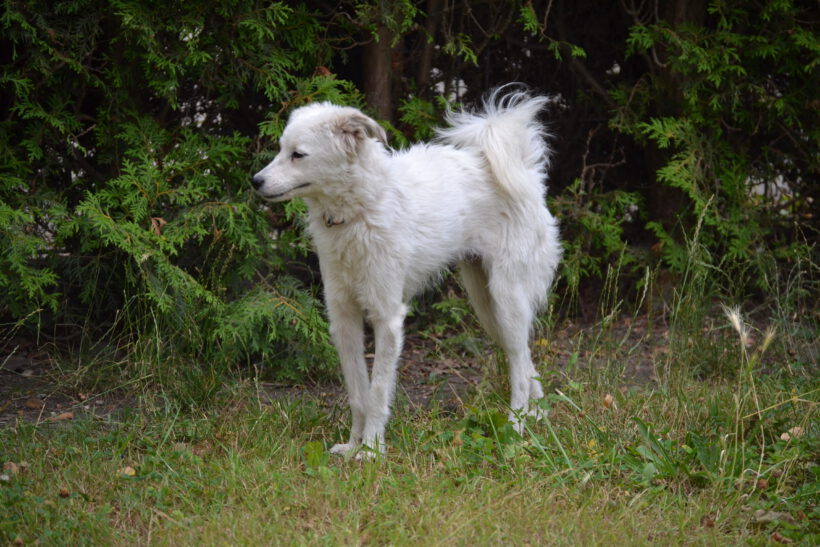 Hilde