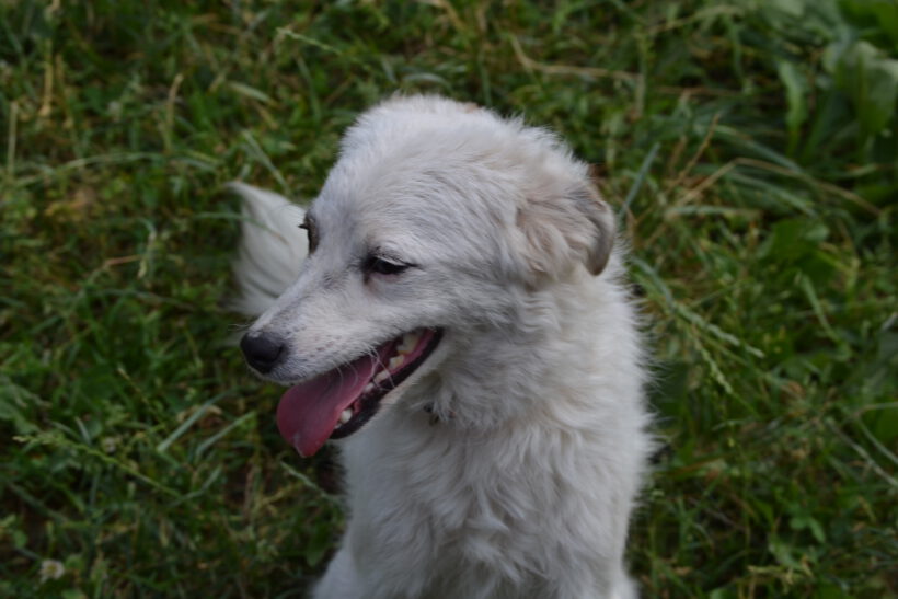 Hilde