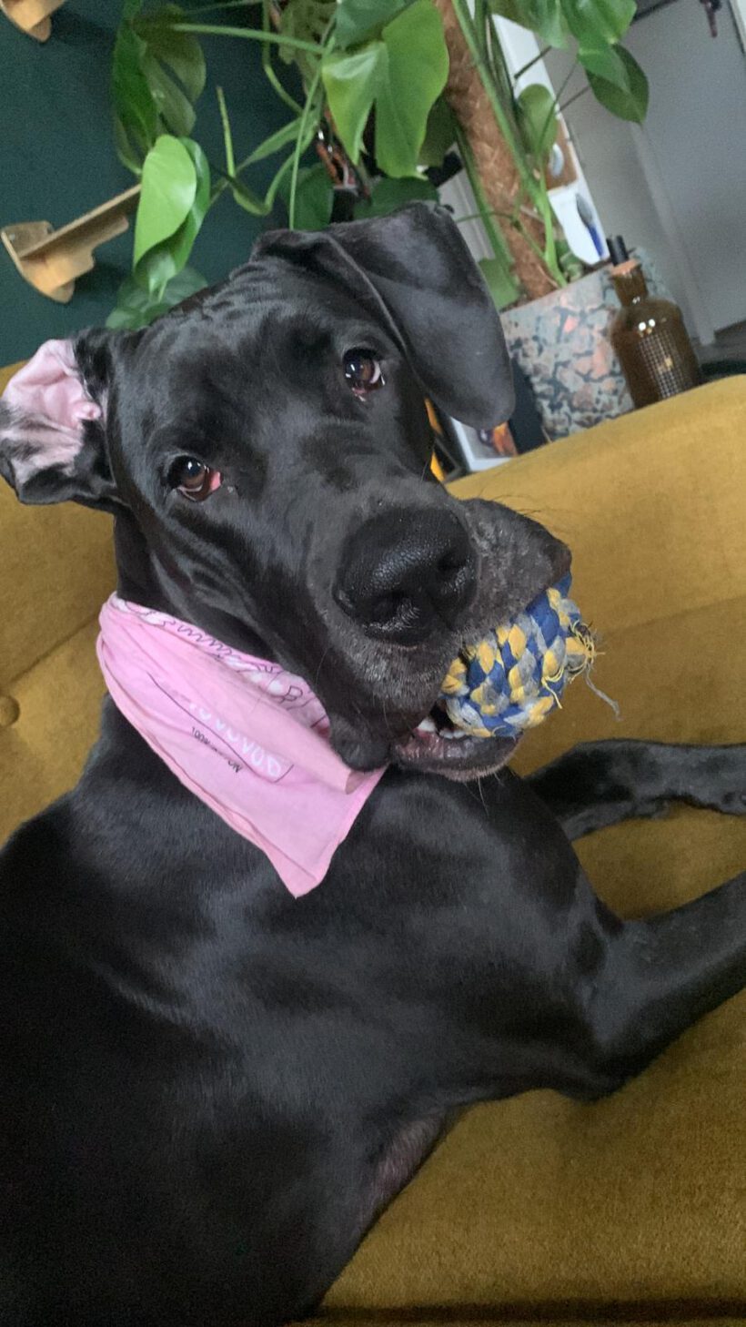 Freya