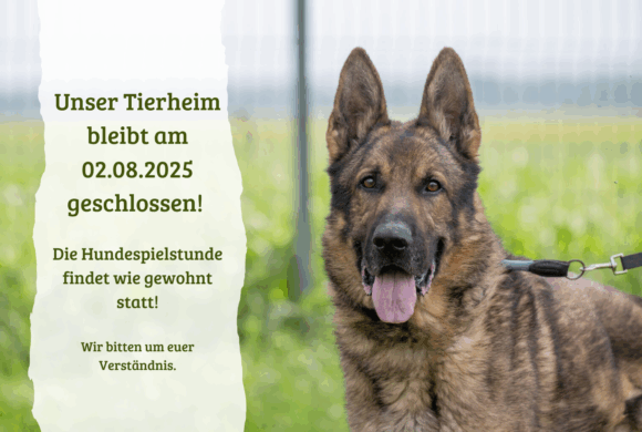 Tierheim am 02.08.25 geschlossen – Spielstunde findet statt!