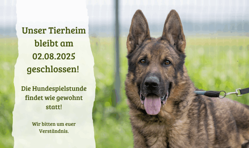 Tierheim am 02.08.25 geschlossen – Spielstunde findet statt!