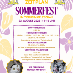 Zeitplan Sommerfest 2025