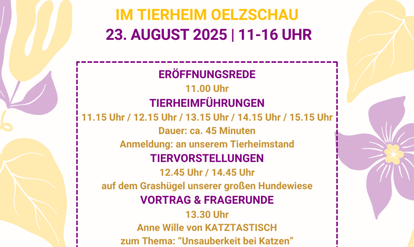 Zeitplan Sommerfest 2025