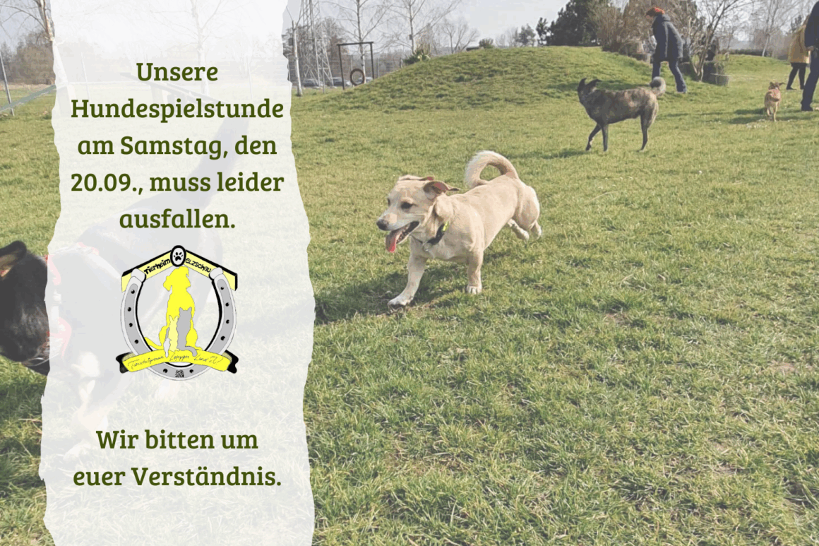 Hundespielstunde fällt am 20.09. aus!