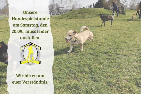 Hundespielstunde fällt am 20.09. aus!