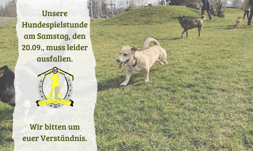Hundespielstunde fällt am 20.09. aus!