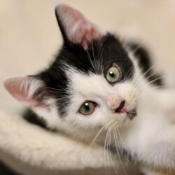 Jonny, Ben, Susann und Reed