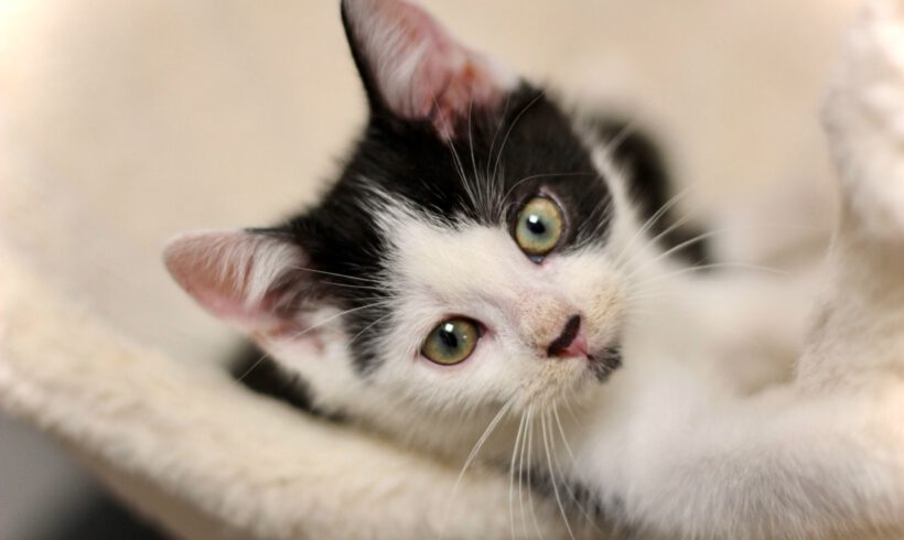 Jonny, Ben, Susann und Reed