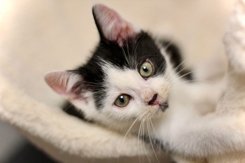 Jonny, Ben, Susann und Reed Jonny, Ben, Susann und Reed