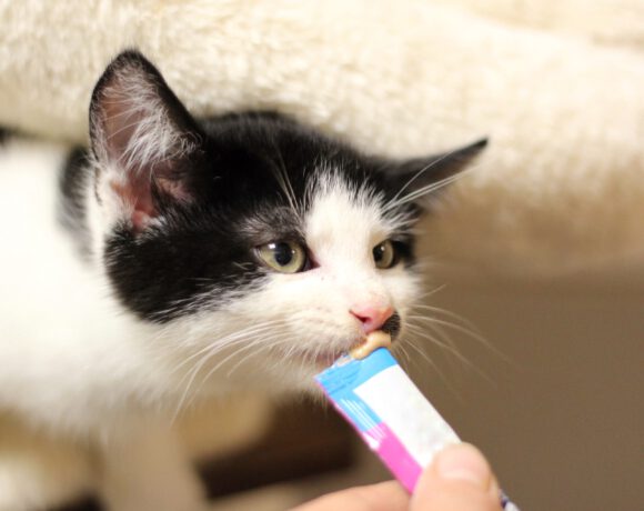 Ben und Reed Ben und Reed