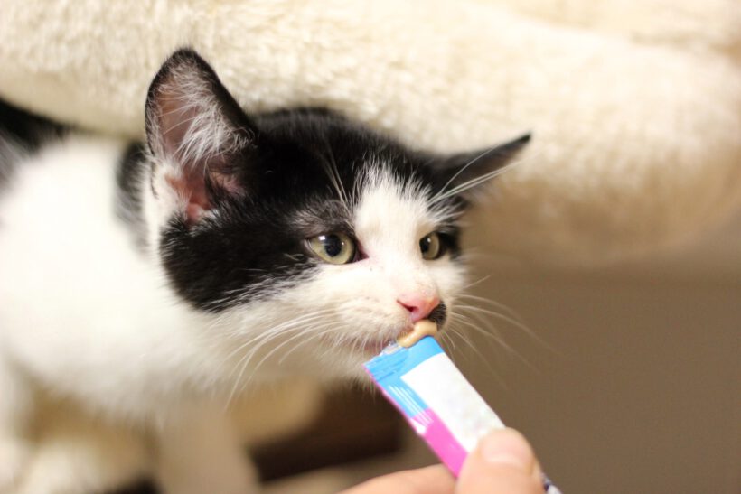 Jonny, Ben, Susann und Reed Jonny, Ben, Susann und Reed