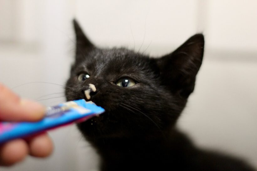 Jonny, Ben, Susann und Reed Jonny, Ben, Susann und Reed