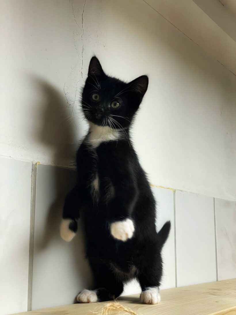 Jonny, Ben, Susann und Reed Jonny, Ben, Susann und Reed