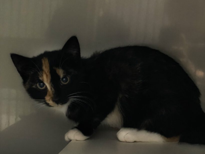 Bailey und Lauri Bailey und Lauri