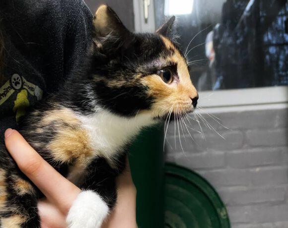 Bailey und Lauri Bailey und Lauri