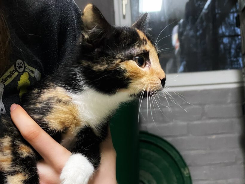 Bailey und Lauri Bailey und Lauri