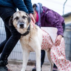 Globus Einpackaktion 🎁 Globus Einpackaktion 🎁