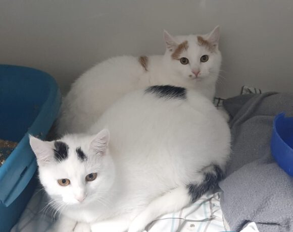 Rick und Morti Rick und Morti