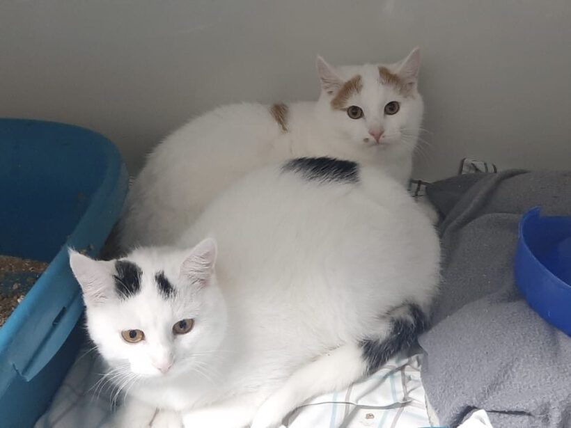 Rick und Morti Rick und Morti