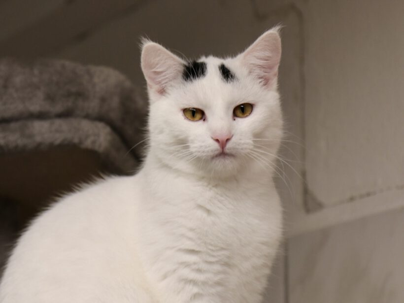 Rick und Morti Rick und Morti