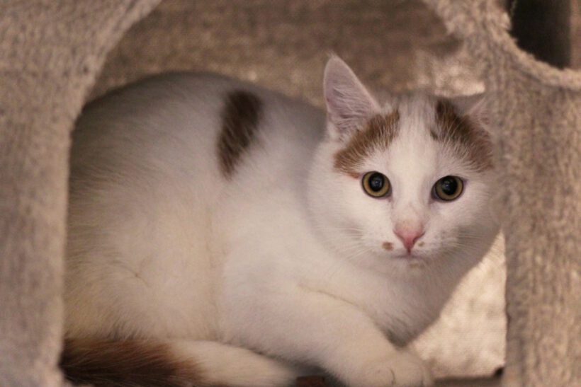 Rick und Morti Rick und Morti