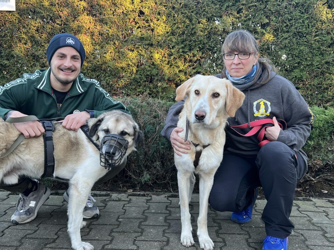 Wenn Taten mehr sprechen als Worte! Wenn Taten mehr sprechen als Worte!