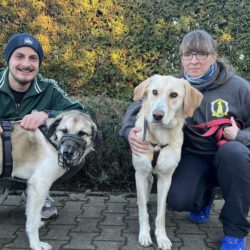 Wenn Taten mehr sprechen als Worte!