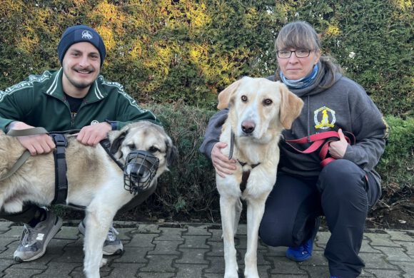 Wenn Taten mehr sprechen als Worte!