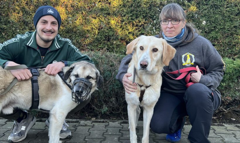 Wenn Taten mehr sprechen als Worte!