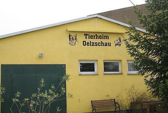 Wir suchen Dich als neues Mitglied im Vorstand!