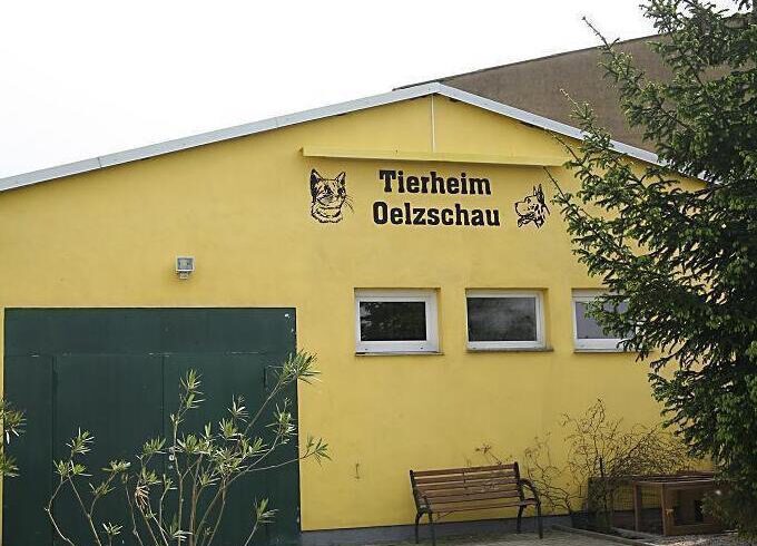 Wir suchen Dich als neues Mitglied im Vorstand!