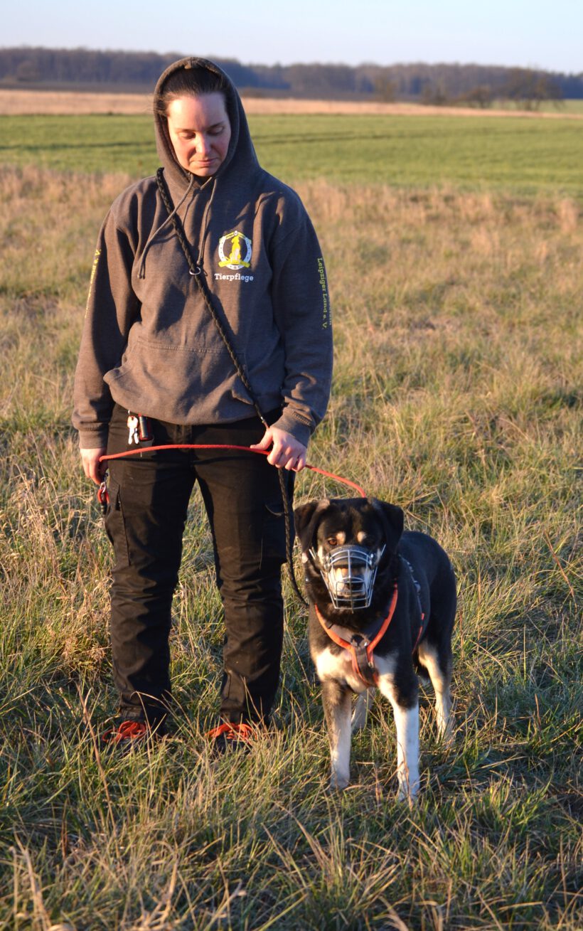 Olec- Souveräner Charakterkopf sucht klare Führung