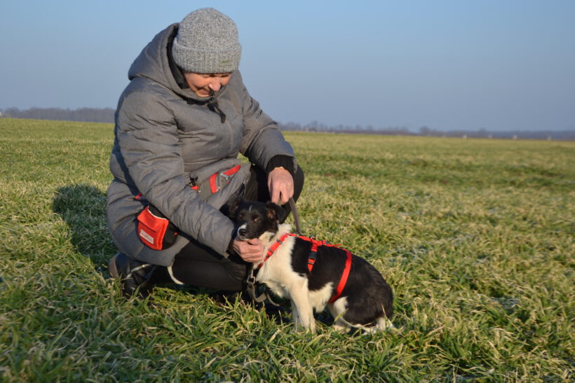 Sonnenschein Lolly- kleine alberne Nudel sucht Herzensmenschen