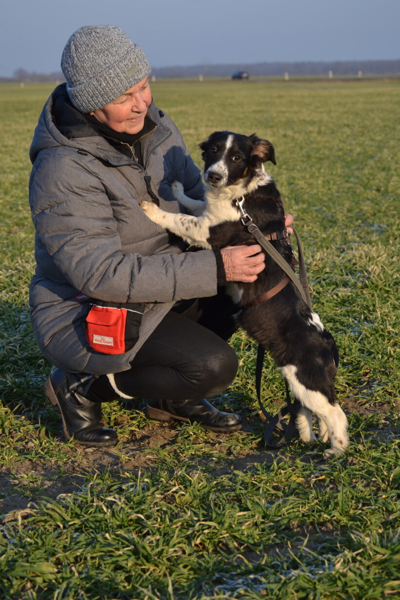 Wirbelwind Bolly- Lebensfreude pur sucht konsequente Herzensmenschen Wirbelwind Bolly- Lebensfreude pur sucht konsequente Herzensmenschen