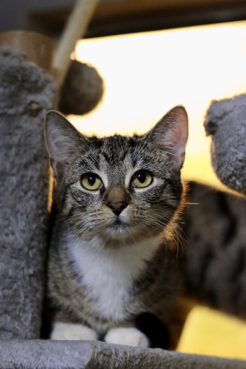 Frida und Karlo Frida und Karlo