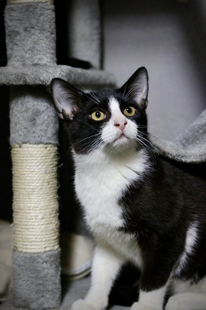 Juli und Salvador Juli und Salvador