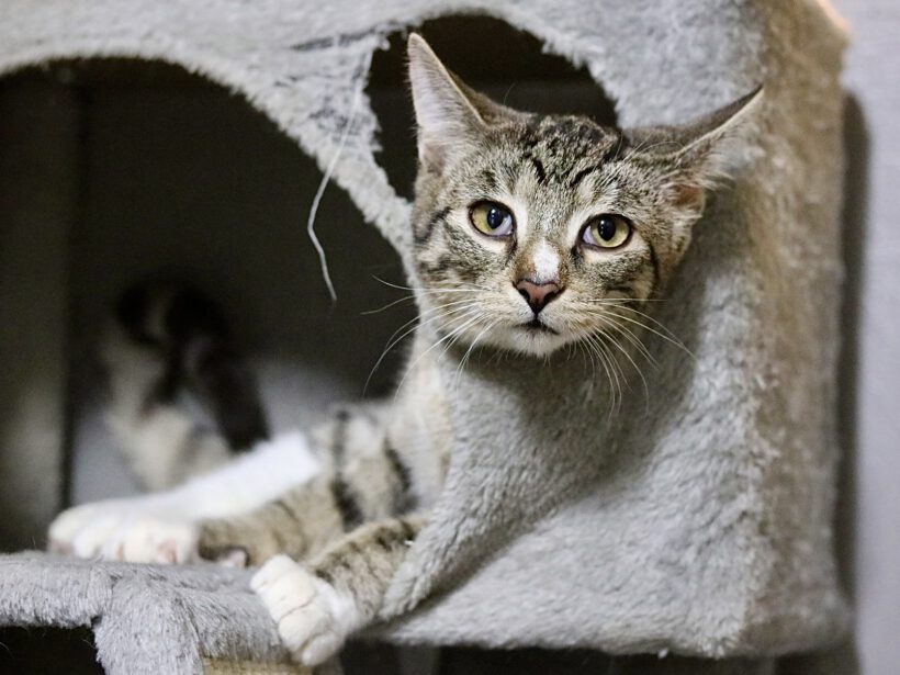 Frida und Karlo Frida und Karlo