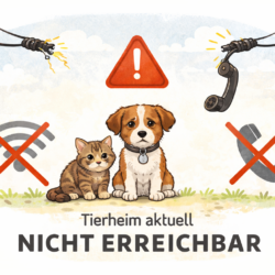 ‼️ Eingeschränkte Erreichbarkeit wegen Telefon- und Internetausfall
